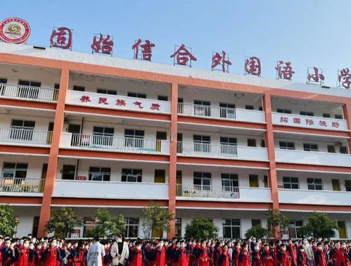 固始信合外国语小学食品安全教育活动