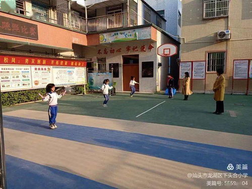 你好,2022 龙湖区教育系统开展多形式活动喜迎元旦