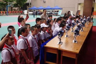 东厅门小学举行 庆六一表彰大会暨科技节开幕式 活动