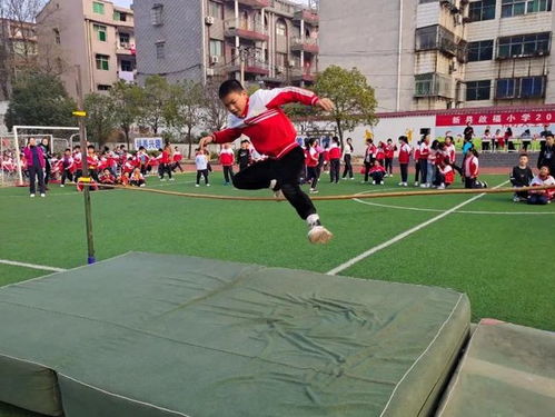 新县启福小学2020年秋季运动会隆重举行