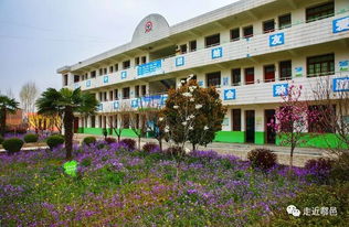 镜头里的户县美丽校园 四