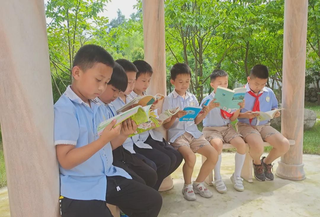 新县启福小学2021年秋季一年级新生招生公告