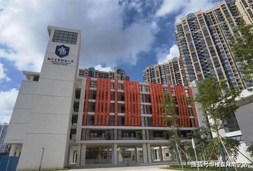 9月开学啦 2021南宁这些新建中小学投入使用,有你家附近的吗