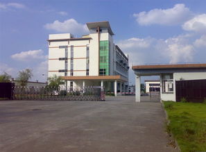 广州南沙区重点小学有哪些,广州南沙区重点小学排名一览