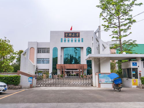 小学学校校门图片大全