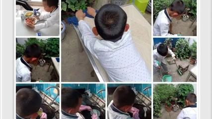 新县启福小学举行劳动教育系列活动