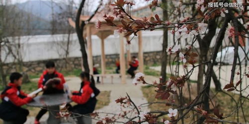 新县中小学开学一周掠影